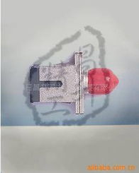 上海日昌升網(wǎng)絡(luò)科技發(fā)展有限公司 光纖連接器產(chǎn)品概覽及網(wǎng)絡(luò)技術(shù)開發(fā)服務(wù)