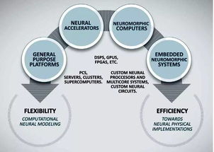 神經(jīng)網(wǎng)絡(luò) 技術(shù)發(fā)展、未來挑戰(zhàn)與網(wǎng)絡(luò)技術(shù)開發(fā)的交匯點(diǎn)